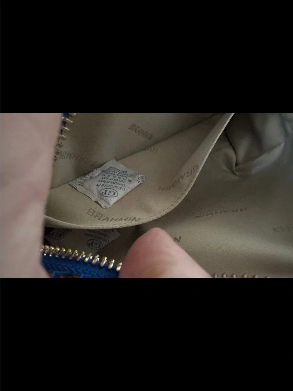 Brahmin Dany deep azure cosmetics Case